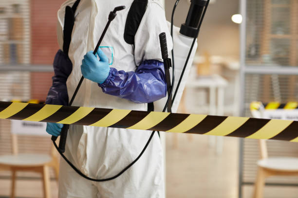 Professional Blood Cleanup technician working in Poulsbo, WA